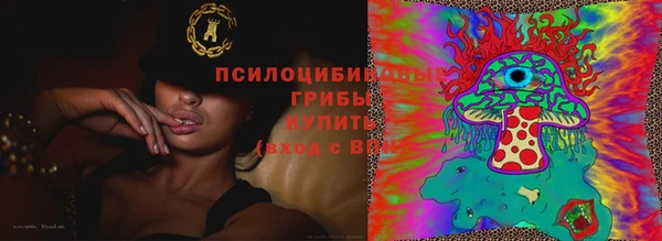 молекула духа Волоколамск