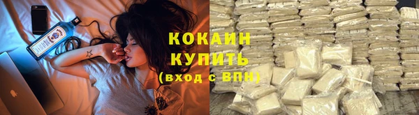 мдпв Волосово