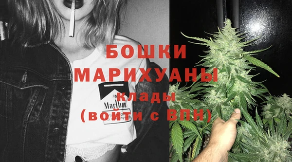 молекула духа Волоколамск