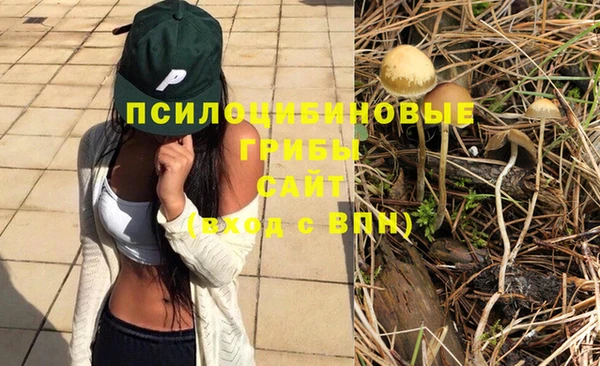 мдпв Волосово