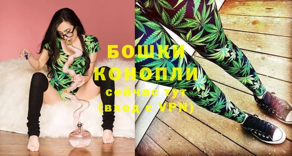 мдпв Волосово